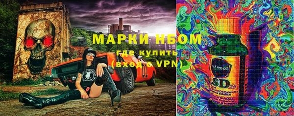 соль ск Козловка