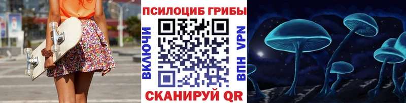 блэк спрут зеркало Салаир Галлюциногенные грибы GOLDEN TEACHER